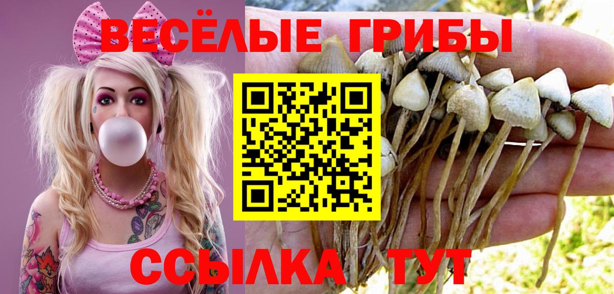 Советск  где купить наркоту  Вход с VPN  Псилоцибиновые грибы Magic Shrooms  Псилоцибиновые грибы прущие грибы 